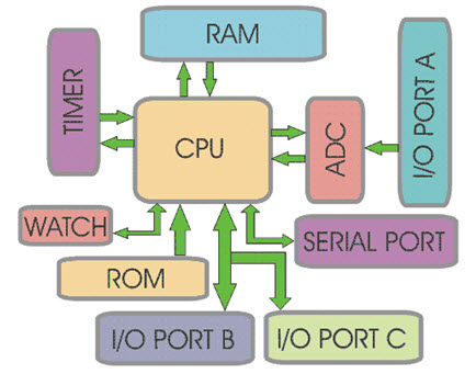 Microcontroller-Basics.jpg